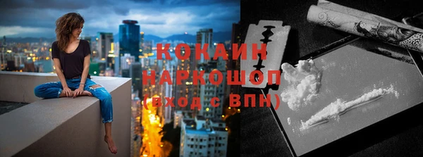индика Алзамай