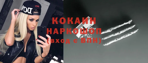 кокс Алексин