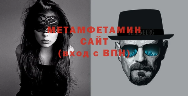 крисы Сатка