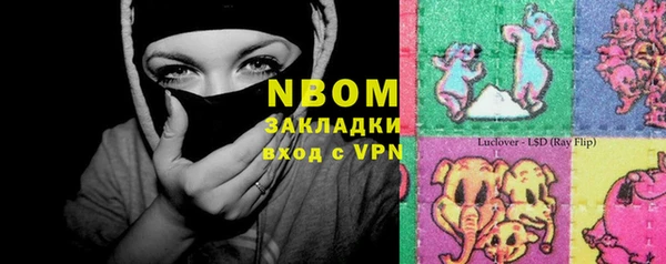 кокс Алексин
