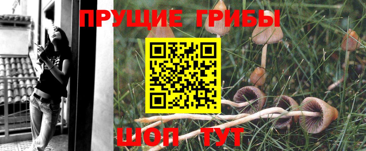 Галлюциногенные грибы Magic Shrooms Глазов