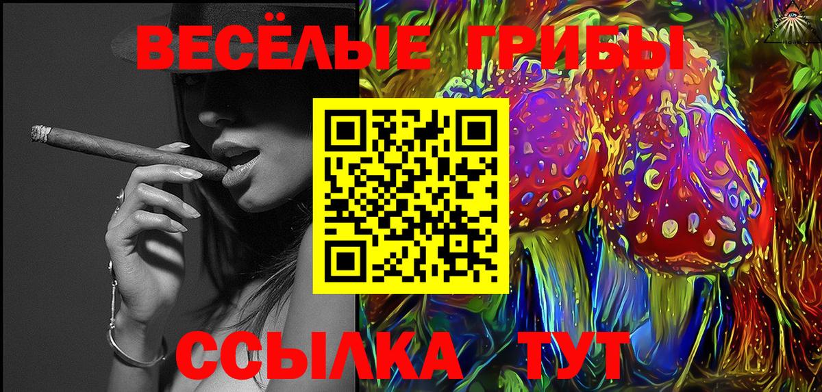 Псилоцибиновые грибы Psilocybine cubensis  Галлюциногенные грибы GOLDEN TEACHER  Глазов  Вход с VPN 